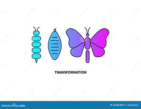 Concepto De Transformación Etapas De La Mariposa Y Cocoon De Oruga Ilustración Del Vector