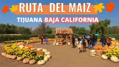 Ruta Del Maíz 2022 Tijuana Baja California De Aventuras YouTube