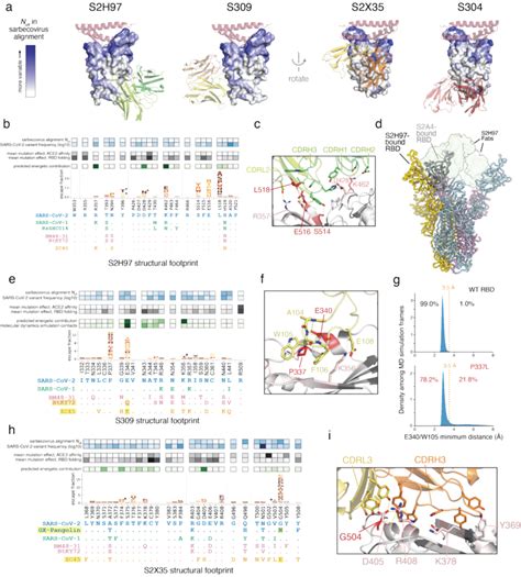 Structural Basis For Broad Sarbecovirus Binding A Overview Of The