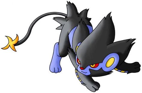 Luxray Wiki Pokémon Amino