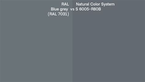 Ral Blue Grey Ral 7031 Vs Natural Color System S 6005 R80b Side By