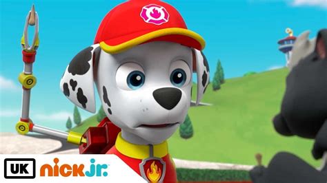 Paw Patrol Pups Get Skunked Nick Jr Uk Youtube