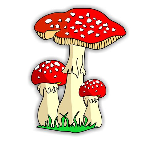 Free Fungi Cliparts, Download Free Fungi Cliparts png images, Free ...