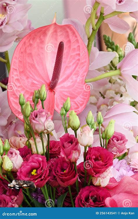 Pink Anthurium Flower in a Beatiful Flower Arrangement. Stock Image ...