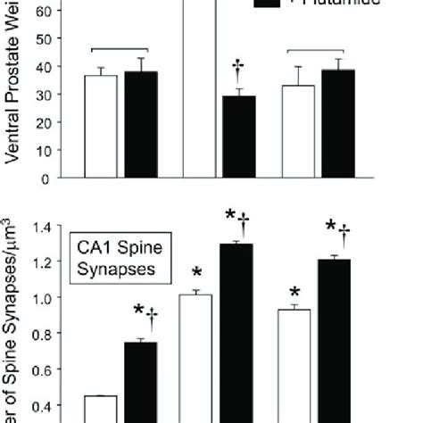 Effects Of DHT DHEA And Flutamide On Ventral Prostate Weight Top