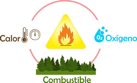 ¿cómo Se Produce Un Incendio Forestal Previfor