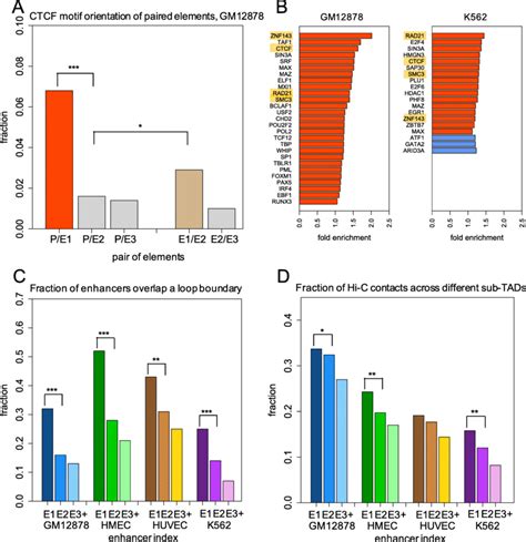 EC Approach To Represent A Promoter Enhancer Network And The Preferred