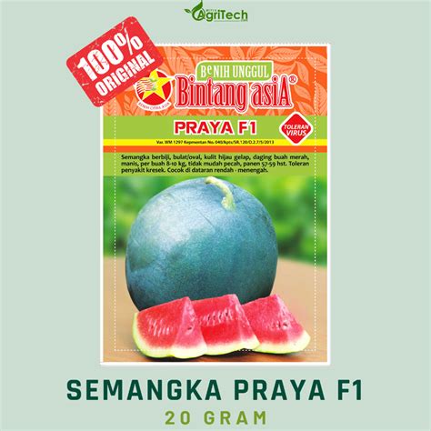 Jual Benih Bibit Semangka Inul Bulat Praya F Isi Gram Cap Bintang