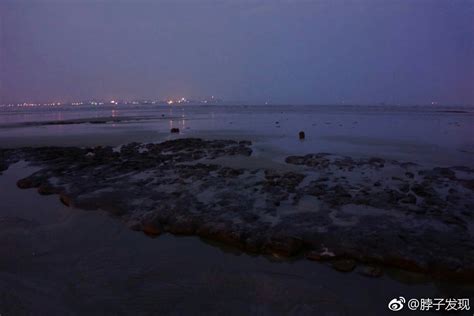 福建晋江深沪湾的海底古森林遗迹，是一种世界罕见的自然景观深沪湾森林遗迹晋江新浪新闻