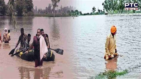 Punjab floods: CM Mann reviews relief measures in flood-hit areas of ...