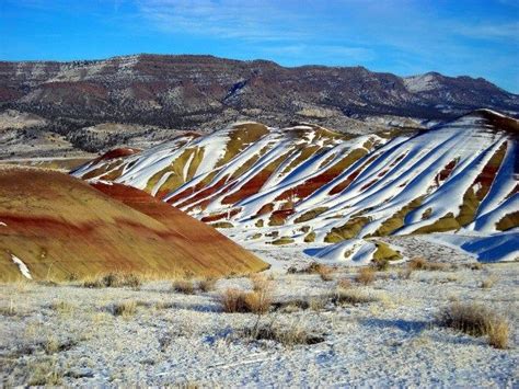 Mitchell Oregon | Gateway to the Painted Hills! | Painted hills, Oregon ...