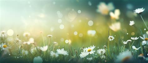 Premium Photo | Tranquil banner with an ultrawide background and spring ...