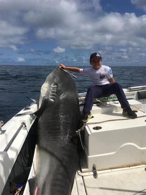 Boy 8 Reels In World Record Tiger Shark