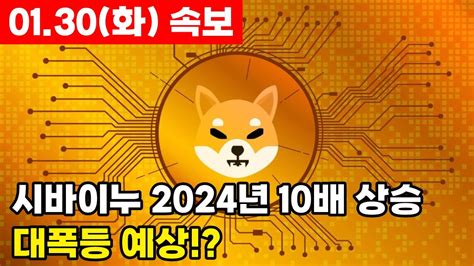 시바이누 코인 전망 2024년 시바이누 1억배 대폭등 예상 초대형 호재가 여러개 준비되어 있다 Youtube