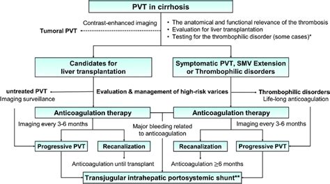 Potential Algorithm For The Management Of Nontumoral Portal Vein