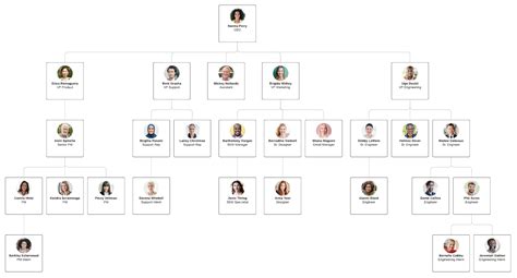 Hierarchical Org Chart: A Visual Reference of Charts | Chart Master