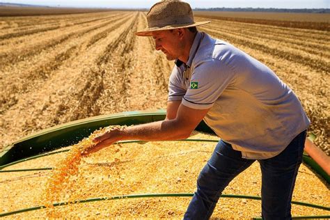 Mato Grosso Lidera Produção Agropecuária Brasileira Por 4 Anos Consecutivos