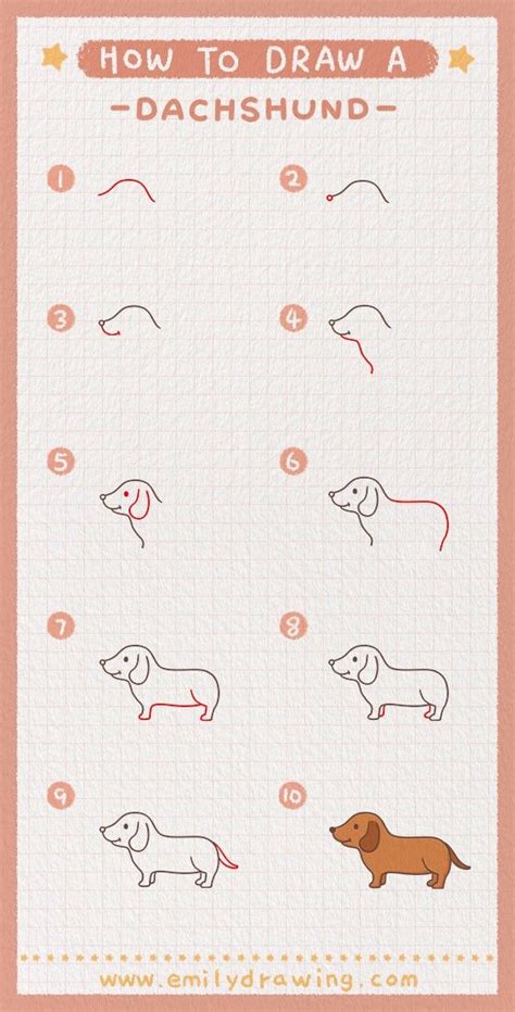 How To Draw A Dachshund Step By Step Drawing Tutorial Super Easy