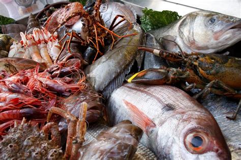 Estiman se venderán 300 mil toneladas de mariscos por cuaresma