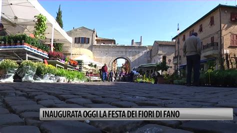 Fano Inaugurata La Festa Dei Fiori VIDEO Occhio Alla Notizia