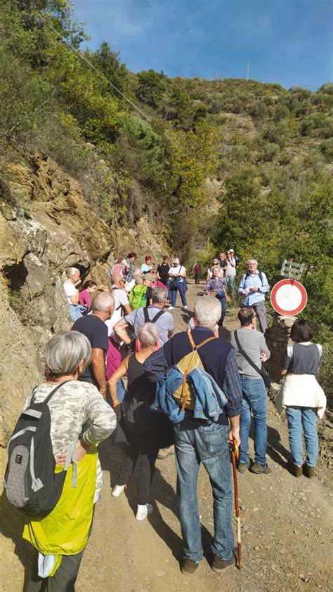 Bajardo Grande Partecipazione Alla Camminata Tra Gli Ulivi