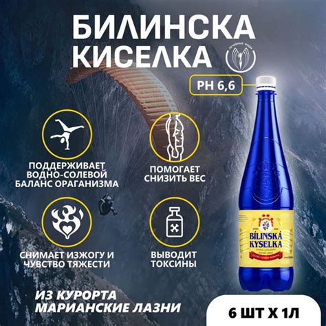 Минеральная лечебно-столовая вода природной газации Билинска Киселка ...
