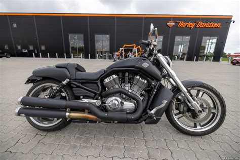 Brugt Harley Davidson Vrscf V Rod Muscle Til Salg Mc