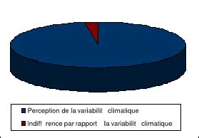 Memoire Online Vuln Rabilit Et Adaptation Des Activites