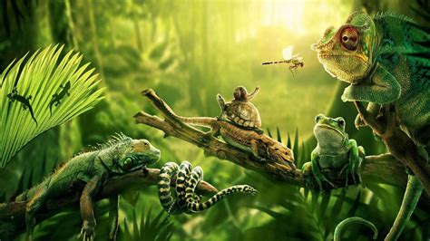 Download Reptiles Of The Jungle Wallpaper | Wallpapers.com