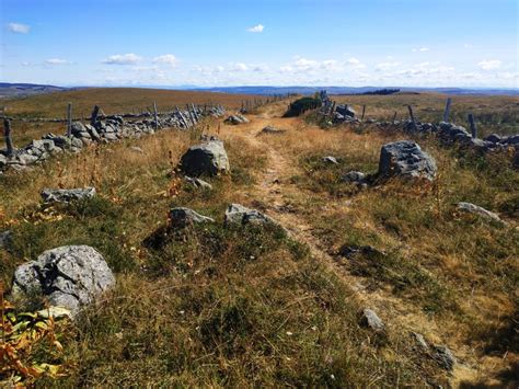 Grand Pique Nique Du Tour Des Monts D Aubrac Randonn E P Destre En