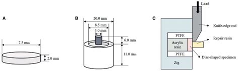 Schematic Diagrams Of Shear Bond Strength Test A Disk Shaped Download Scientific Diagram