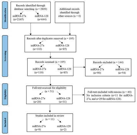 Ijms Free Full Text Mirnas In The Box Potential Diagnostic Role