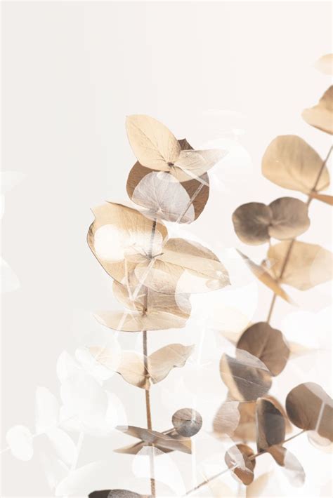 Eucalyptus Creative Gold Pictufy Studio Iii