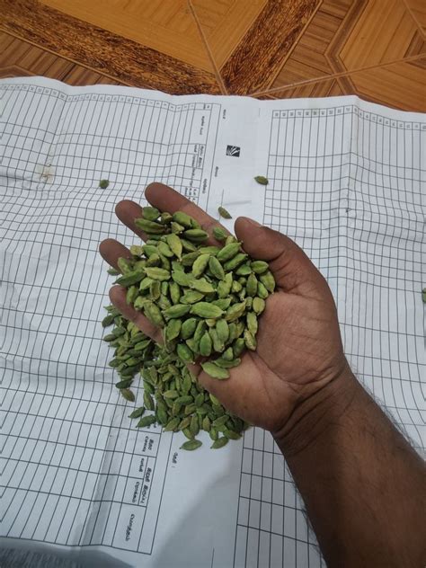 Variety Of Cardamom Bold 8 Mm 1 Kg At Rs 1680 Kg In Theni ID