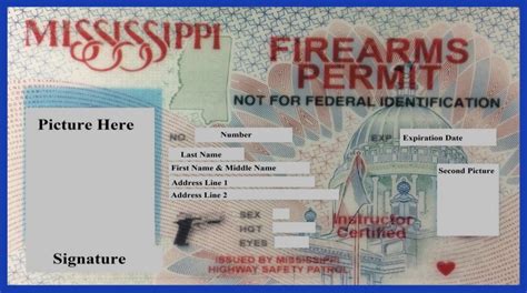 Mississippi Enhanced Concealed Carry Course — Deltac Training