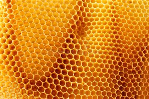 Golden Honeycomb Hexagons Stock Image Image Of Healthy 125318015