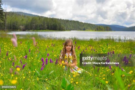 88 Lac Des Cinq Fleurs Stock Photos, High-Res Pictures, and Images - Getty Images