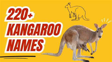 220+ Cute & Funny Kangaroo Names +AI Generator