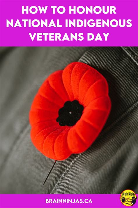 How To Honour National Indigenous Veterans Day Ninja Notes