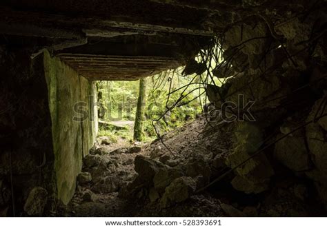 Wolfs Lair Adolf Hitlers Bunker Poland Stock Photo 528393691 Shutterstock