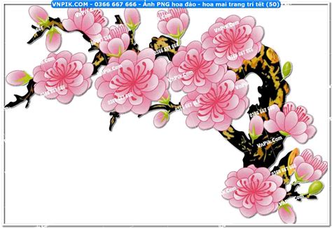 ma  anh png hoa dao hoa mai trang tri tet  vnpikcom