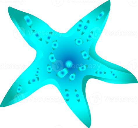 Starfish Undersea Ocean Sea For Decorative Png