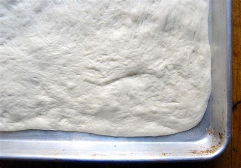 Sourdough pizza crust: new life for a sleepy starter | King Arthur Baking