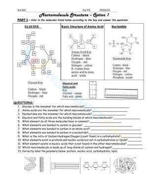 Macromolecule Worksheets