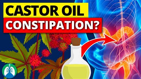 Take Castor Oil To Help With Digestion And Relieve Constipation Youtube