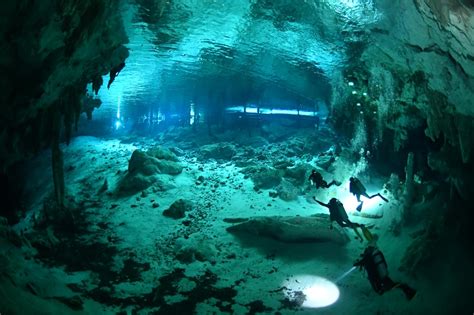 Cenote Dos Ojos dive site | PADI