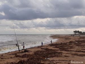 Visiter la Côte d Ivoire que faire que voir à Grand Lahou Le