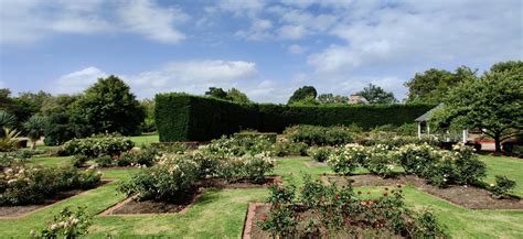 Royal Botanic Gardens Victoria & St Kilda Botanical Gardens : Melbourne ...