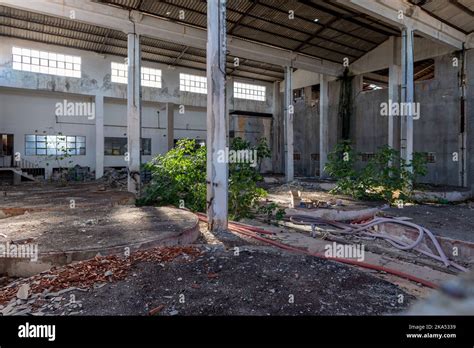 Interior View Of A Abandoned Derelict Factory Building With Plants