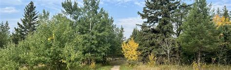 Cedar Bog Trail, Manitoba, Canada - 1,272 Reviews, Map | AllTrails